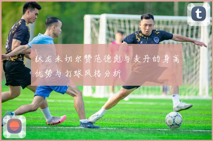 狄龙米切尔赞范德彪与麦丹的身高优势与打球风格分析